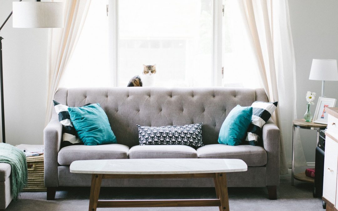 Comment décorer son intérieur de manière moderne ?